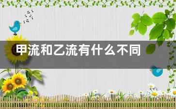 甲流和乙流有什么不同 甲流与乙流哪个更***,甲流和乙流有什么不一样